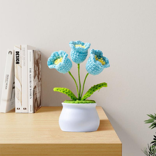 Sky Bloom Mini Crochet Pot