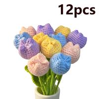 Pastel Dream 12pc Crochet Tulip Set
